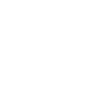 Icon_web_LinkedIN-white
